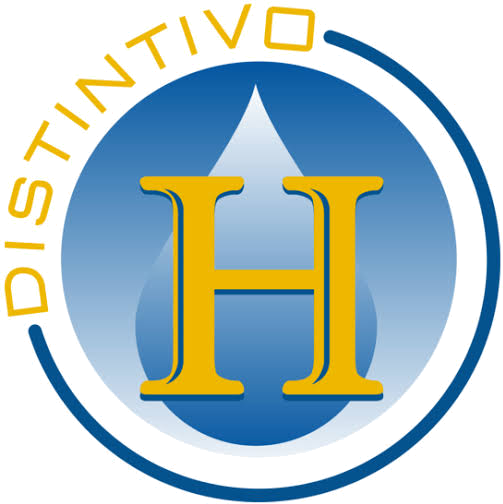 Distintivo H